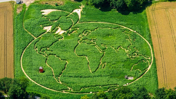 Freizeit: Das Maislabyrinth in Utting zeigt in diesem Jahr eine Weltkugel und eine Friedenstaube - allerdings nur von weit oben.