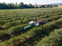 Landwirtschaft: Kampfzone Weizenfeld