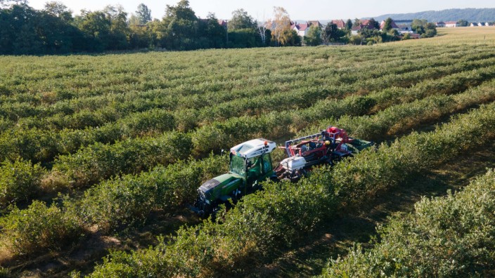 Landwirtschaft: Ein Feld in Sachsen: Wegen des Ukrainekriegs werden Landwirtschaftsregeln auch in Deutschland ausgesetzt.