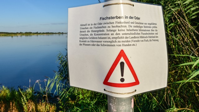 Fischsterben in der Oder: Im brandenburgischen Genschmar hängt ein Warnhinweis zum Fischsterben am Oder-Ufer.