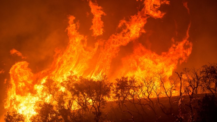 Arte-Themenschwerpunkt zum Klimawandel: Momentaufnahme aus "Megafreuer: Der Planet brennt" - Waldfeuer in Kalifornien. Auch in Australien spitzt sich die Situation momentan immer weiter zu.