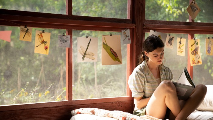 Neu in Kino & Streaming: Die Natur spricht zu ihr: Daisy Edgar-Jones als Kya in "Der Gesang der Flusskrebse".