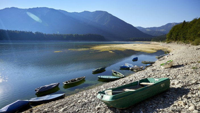 Naturschutz: Auch in Bayern wird es immer trockener. Der Sylvensteinspeicher und andere Seen führen immer öfter extrem wenig Wasser.