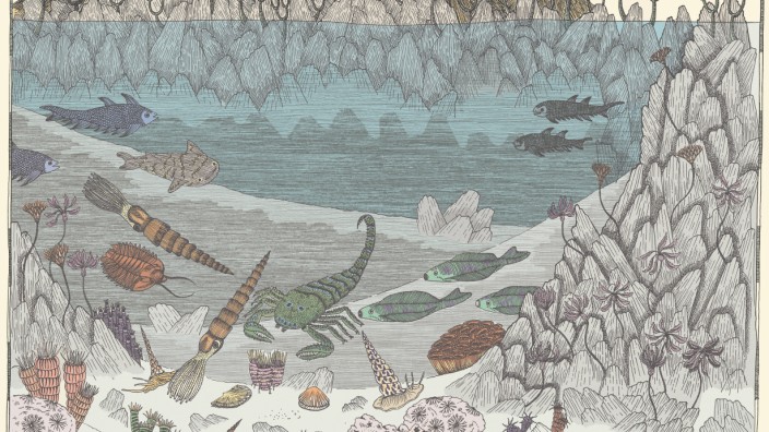 Paläontologie: Illustrationen aus Alina Bestard: Wie alles begann.