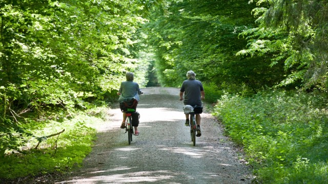 Tourismus im Landkreis Ebersberg: Gerade im heißen Sommer ist das Radeln unter Bäumen angenehm.