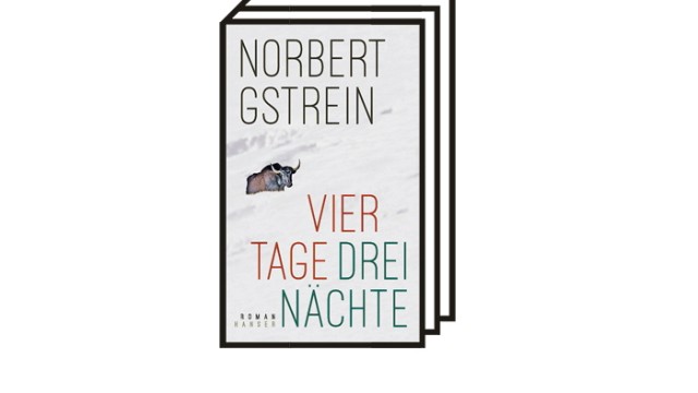 Norbert Gstrein: "Vier Tage, drei Nächte": Norbert Gstrein: Vier Tage, drei Nächte. Roman. Hanser, München 2022. 353 Seiten, 26 Euro.