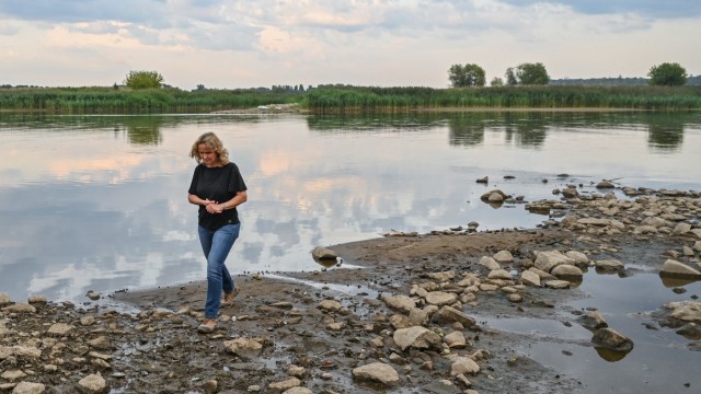 Sommerreisen: Die grüne Umweltministerin Steffi Lemke macht sich ein Bild von der Umweltkatastrophe am deutsch-polnischen Grenzfluss Oder.