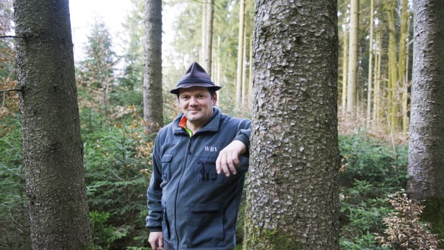 Ökologischer Umbau: Werner Fauth, Vorsitzender der Waldbesitzervereinigung Ebersberg/München Ost, ist von der Waldprämie nicht begeistert.
