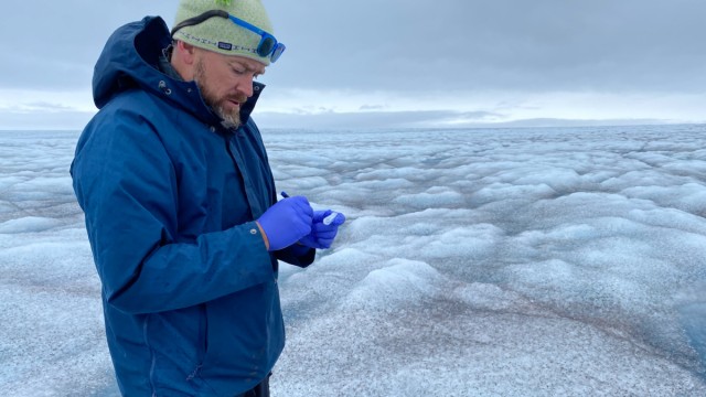 Klimawandel: Jason Box nimmt Eisproben während der Schmelzsaison in Westgrönland.