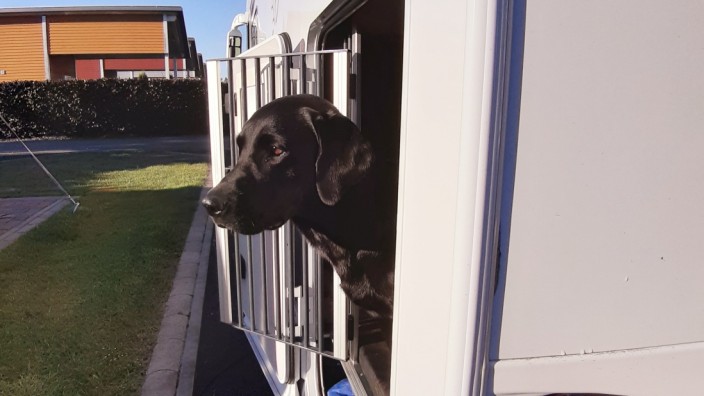 Wohnmobil: Die Campingbranche bietet inzwischen umfangreiches Hundezubehör an.