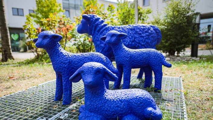 Mitten in Maisach: Vier Schafe bilden derzeit die "Blaue Gruppe" im Garten des Maisacher Rathauses. Das fünfte hat ein Unbekannter abmontiert.
