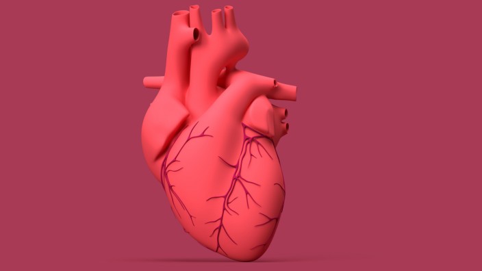 Herzleiden: Das menschliche Herz ist ein Wunderwerk - aber manchmal gerät es aus dem Takt.