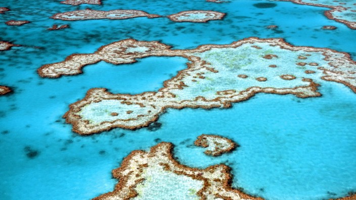Great Barrier Reef, Luftaufnahme, Australien Great Barrier Reef, aerial view, Australia BLWS664235 *** Great Barrier Ree
