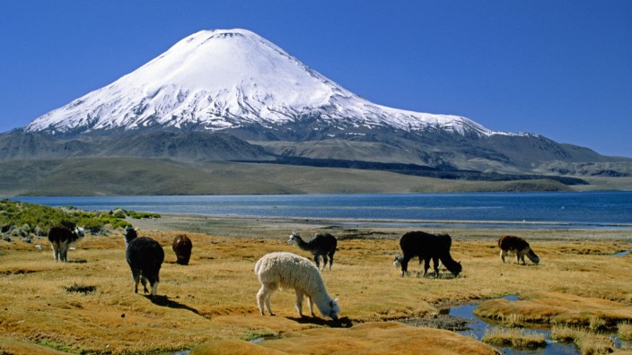 Geologie: Der Vulkan Parinacota an der Grenze zwischen Chile und Bolivien in den Anden, wo zwei Erdplatten kollidieren.