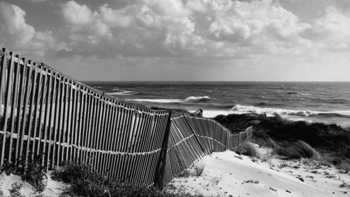 Fotografie: Auch diesem windschiefen Zaun konnte der 2016 gestorbene Fotograf George E. Todd viel Schönes abgewinnen.