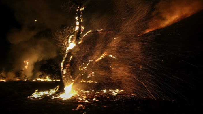 Bericht der Weltwetterorganisation: Waldbrand in der Nähe von Hemet, Kalifornien.