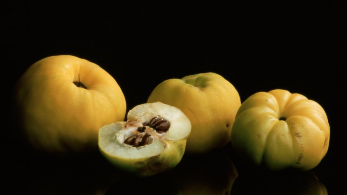 Kolumne: "Eigener Herd": Geheimnisvolle Frucht: Manche Quitten erinnern an Äpfel, andere an Birnen, gelbe Tomaten oder sogar an kleine Kürbisgewächse.