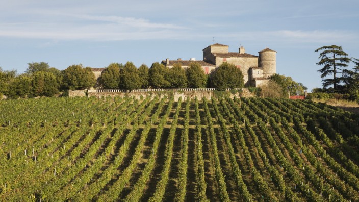 Frankreich: Experten geben Entwarnung: Die Qualität des Weines in Bordeaux hat nicht gelitten, im Hintergrund das Château Lacaussade im Départment Gironde.