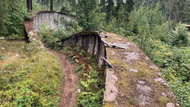 Favorites of the week: Enchanted and overgrown with moss: the Spießbergbahn in the Thuringian Forest near Friedrichroda.  In 1966, the 10th World Championship in luge racing was to take place here.