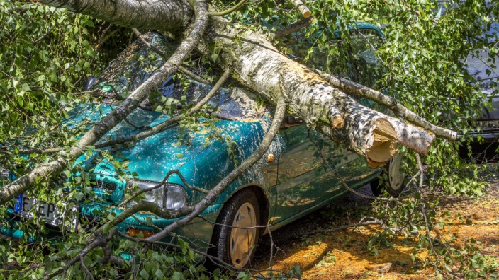 Versicherung: Eindeutig ein Versicherungsfall: Sturmschaden nach einem Gewitter.
