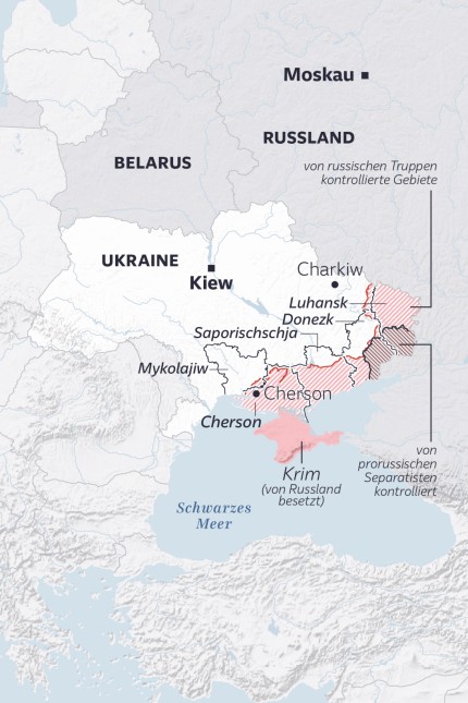 Scheinreferenden in der Ukraine: undefined