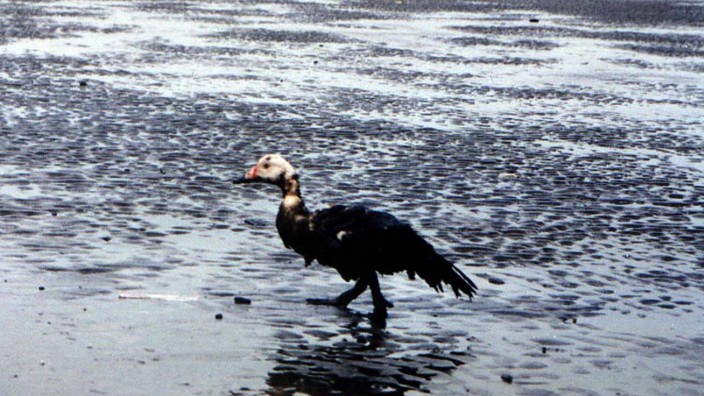 Pierre Charbonnier: "Überfluss und Freiheit": A oil-covered duck wades in shallow waters drenched in oil spilled from a half-sunken tanker off the north coast of the country's storm-battered Java island, off Tegal 15 February 2001. The Honduras-registered tanker Steadfast partially sank in shallow waters when it was battered by massive waves and winds off Tegal, central Java. Roughly 40 percent of 800 tonnes of sump oil had leaked from the ship and reached shore. The tanker, Steadfast, is seen in the background. (Film) dpa-Tatang Kirana