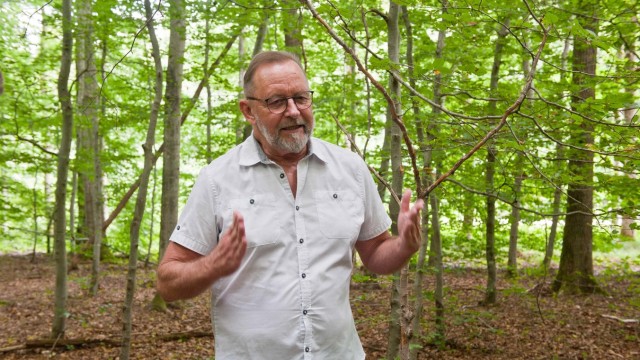 Semesterthema der VHS Vaterstetten: Kreisheimatpfleger Thomas Warg im Ebersberger Forst, um den sich besonders viele Legenden ranken. Das neueste Rätsel ist jenes um einen wiederentdeckten jahrhundertealten Brunnen.