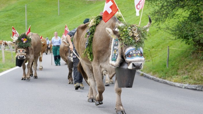 Tierschutz: Die Schweizer Landwirtschaft bringt viele schöne Bilder hervor, hier aus dem Kanton Obwalden, doch auf kritische Nachfragen reagiert sie zugeknöpft.