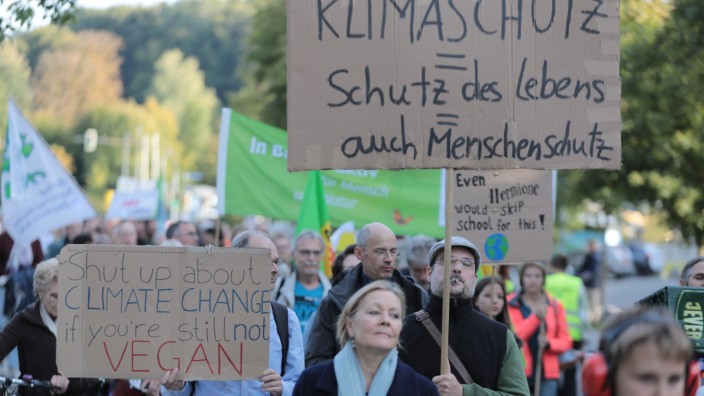 Klimastreik: Teilnehmer der Klimademo in Fürstenfeldbruck.