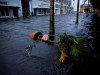 Hurricane Ian makes landfall in southwestern Florida