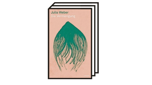 Bücher des Monats Oktober: Julia Weber: Die Vermengung. Limmat Verlag, Zürich 2022. 351 Seiten, 26 Euro.