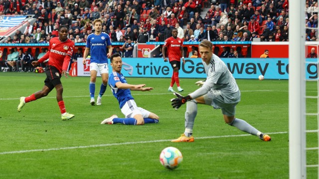 Bayer Leverkusen: Doppeltorschütze: Jeremie Frimpong (links) gelangen gegen Schalke zwei Treffer.