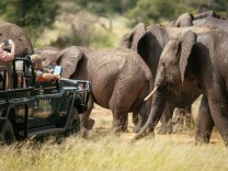 Südafrika: Ist das Leben eines Touristen mehr wert als das Leben eines Südafrikaners?