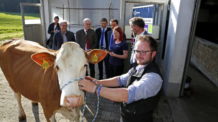 Digitalisierung in der Landwirtschaft: Landwirt Anton Huber mit seiner Kuh Enrosa und dem Tierwohl-App-Entwicklungsteam des LKV im Hintergrund.