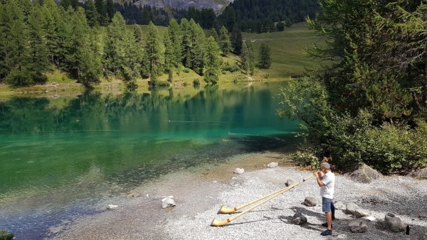 Alpen: Palpuognasee in der Schweiz