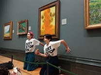 Klimaprotest im Museum: Suppe auf Sonnenblumen