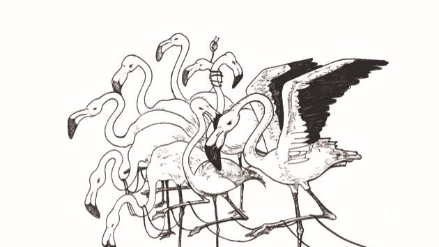 Literatur: Flamingos im iZoo: Illustration von Marius Schölch zum Roman von Carl Os.