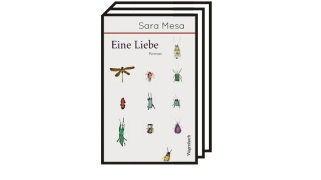Frankfurter Buchmesse: Sara Mesa: Eine Liebe. Roman. Aus dem Spanischen von Peter Kultzen. Verlag Klaus Wagenbach, Berlin 2022. 187 Seiten, 23 Euro.