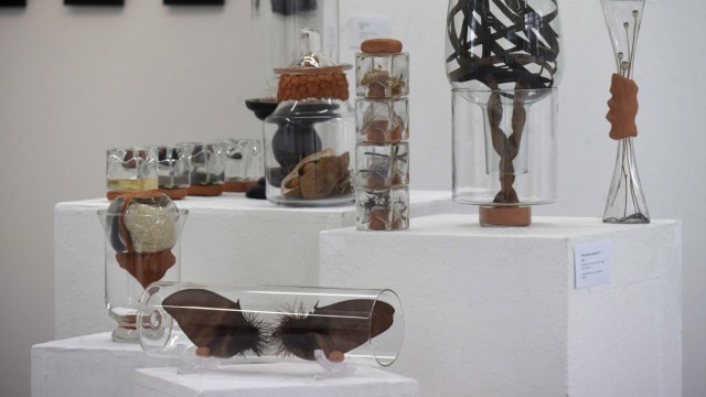 Karlsfeld: In einem "Samen-Sammelsurium" hat die Künstlerin Samen aus aller Welt drapiert.