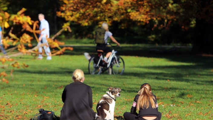 Typisch deutsch: Goldener Oktober in München: Eine Frau mit Hund und Tochter in der Nachmittagssonne inmitten von Herbstlaub auf einer Liegewiese im Königlichen Hirschgarten.