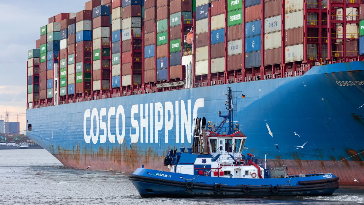 Cosco deal to the port of Hamburg: sharp criticism even after a compromise – politics