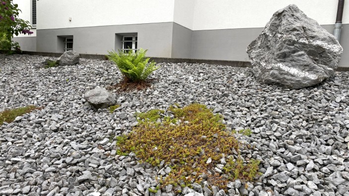 Gartenbau: Immer mehr Kommunen, darunter auch die Stadt Dachau, wollen Steingärten verbieten.