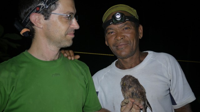 Príncipe-Zwergohreule: Der portugiesische Ornithologe Martim Melo mit Vogelsammler Ceciliano do Bom Jesus und einem Exemplar der neu entdeckten Eulenart.