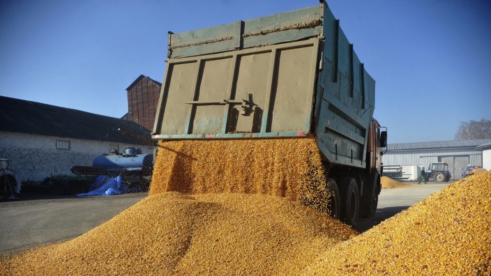 Getreide aus der Ukraine: Das ukrainische Getreide wie das aus der Stadt Winnyzja wollen Polen und Ungarn nicht mehr importieren.