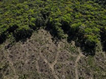 Regenwald: Kollaps am Amazonas