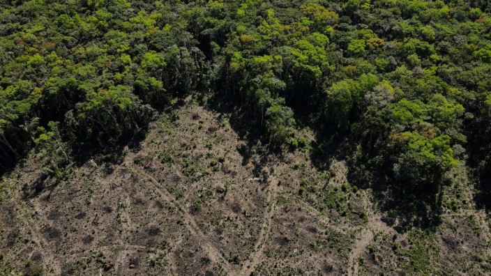 Regenwald: Nicht überall kann der Wald sich regenerieren: Rodungsfläche bei Manaus im Bundesstaat Amazonas.