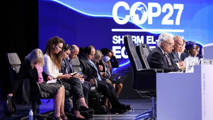 Teilnehmer der Weltklimakonferenz COP27