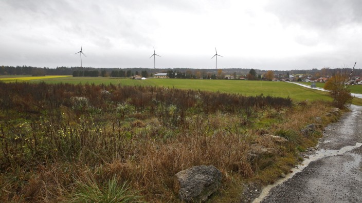 Erneuerbare Energien: Am Zellerweg nahe der Autobahn soll eine Photovoltaikanlage gebaut werden.