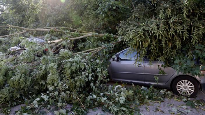 Klimawandel: Sturmtief Sabine war im Juni über Teile des Landkreises hinweggefegt. Orkanartige Böen entwurzelten oder knickten Bäume und ließen sie, so wie in Moosburg, auf Autos stürzen.