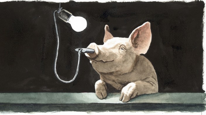 Museum Penzberg: Das "Schwein mit Lampe" von Greser & Lenz ziert den neuen Katalog zur Ausstellung "Notstromaggregat".